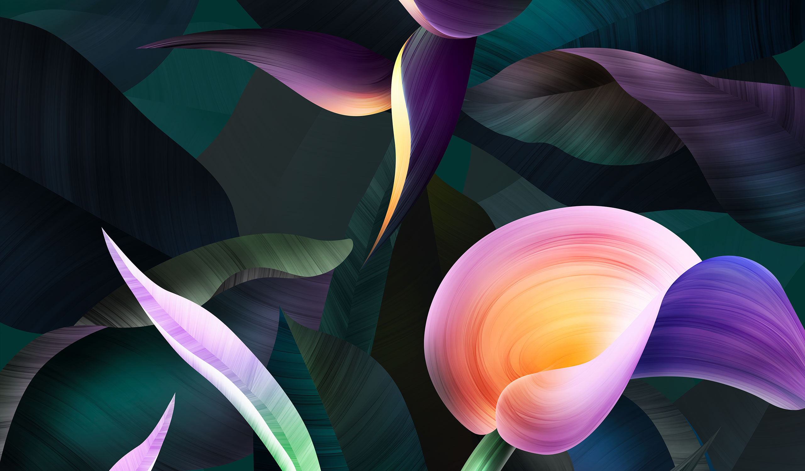 Project 2 Image 2