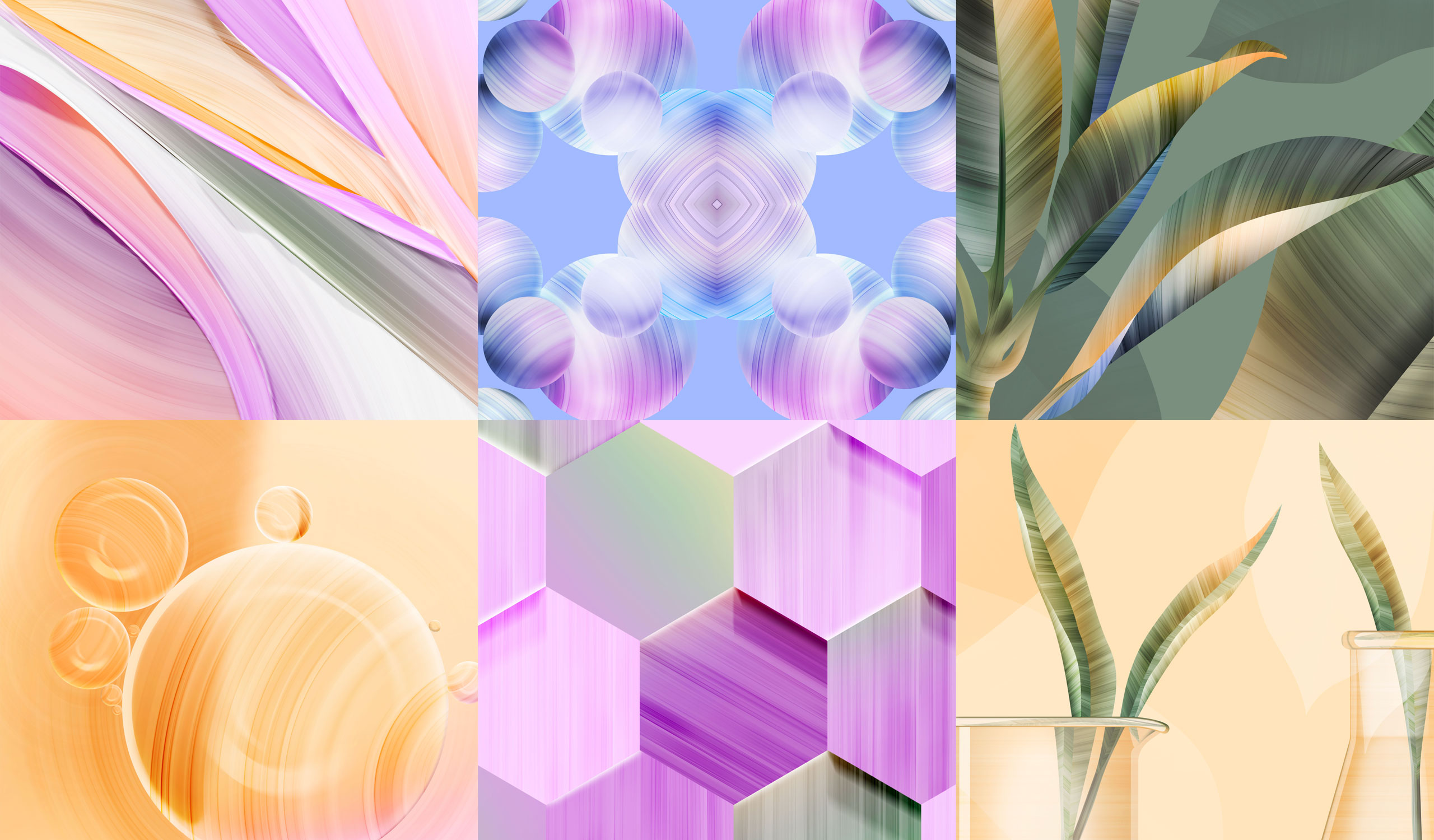 Project 2 Image 2